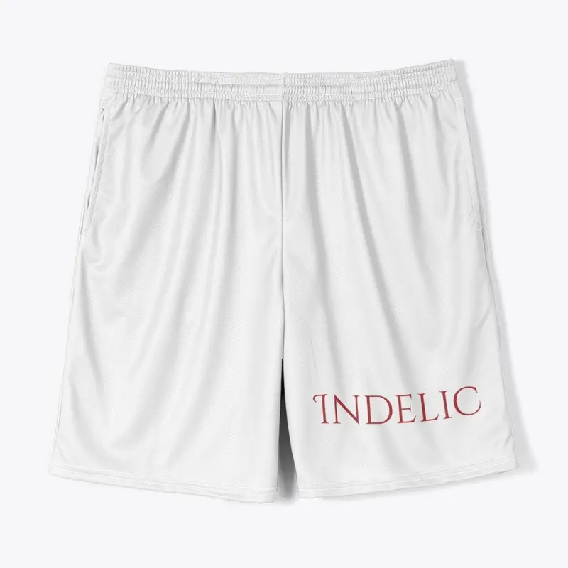 Indelic Records Merchandise